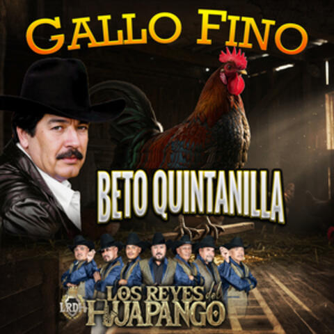 Gallo Fino