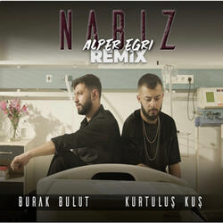 Nabız