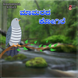 Malli Hoovaballi