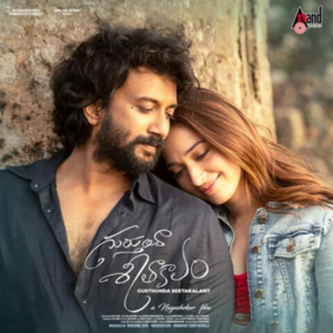 Gurtunda Seetakalam (Original Motion Picture Soundtrack)