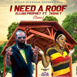 I Need A Roof