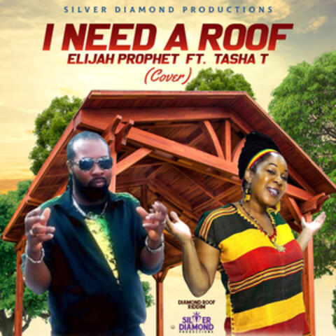 I Need A Roof