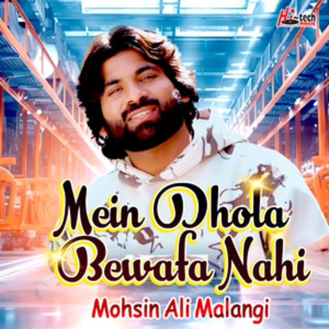 Mein Dhola Bewafa Nahi
