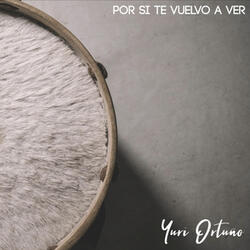 Por Si Te Vuelvo a Ver
