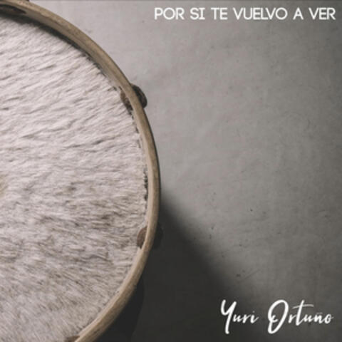 Por Si Te Vuelvo a Ver