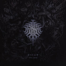 Eye Of The Swarm