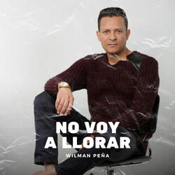 No Voy A Llorar