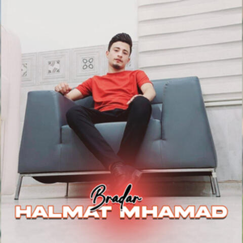 Bradar