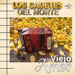 Un Viejo Amor