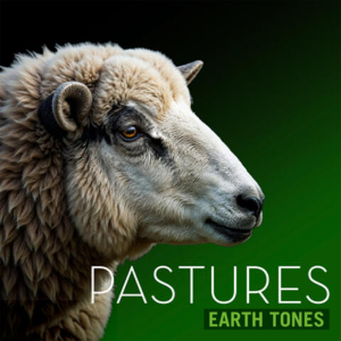 Earth Tones: Pastures