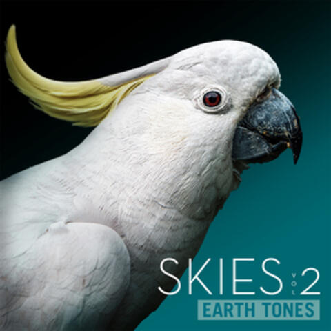Earth Tones: Skies 2