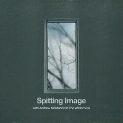 Spitting Image (with Andrew McMahon in the Wilderness)