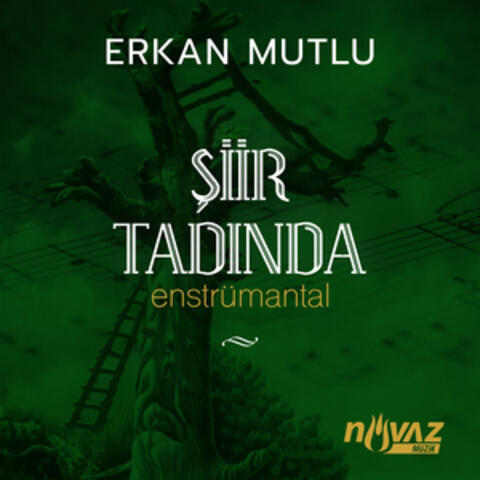 Şiir Tadında (Enstrümantal)