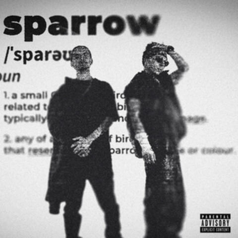Sparrow