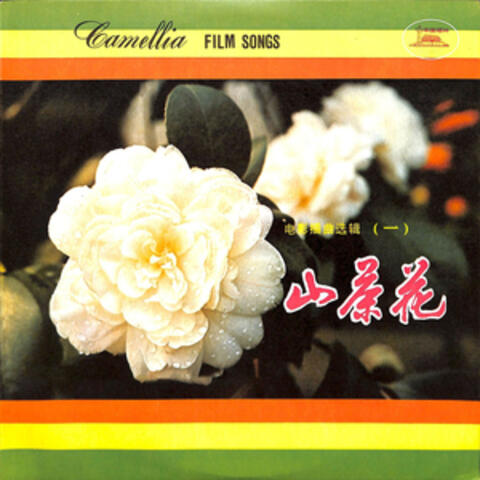 山茶花
