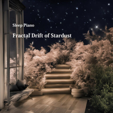 Fractal Drift of Stardust