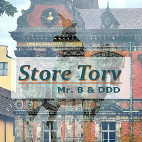 Store Torv