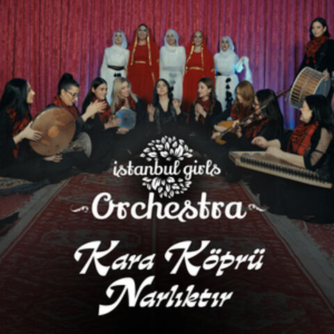 Kara Köprü Narlıktır