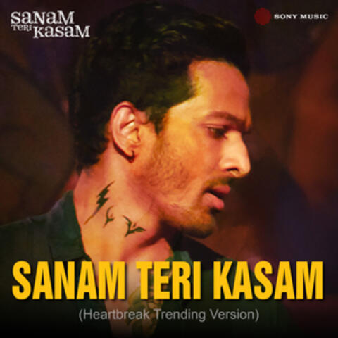 Sanam Teri Kasam