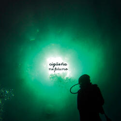 La plaza ya no es redonda