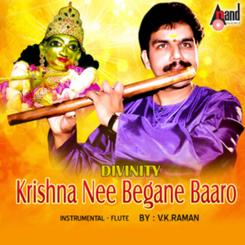 Divinity Krishna Nee Begane Baaro