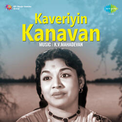 Chinna Chinna Nadai Nadanthu (Sad)