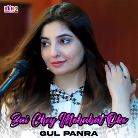 Zai Chey Mohabat Oko - Single