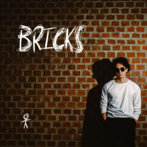 Bricks