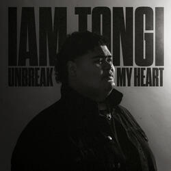 Unbreak My Heart