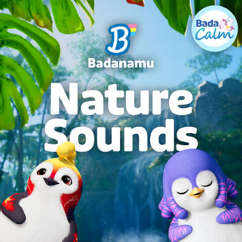 Nature Sounds