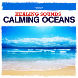 Ocean Surf 2