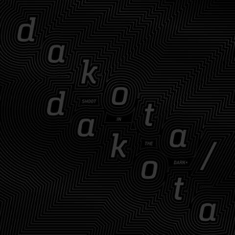 Shoot in the Dark +