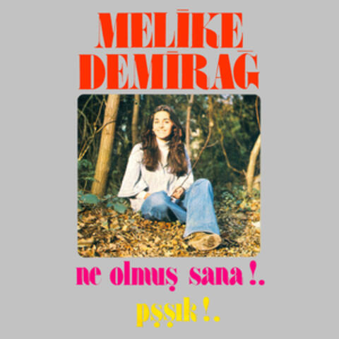 Ne Olmuş Sana / Pşşık