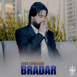Bradar