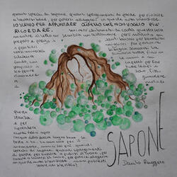 Sapone