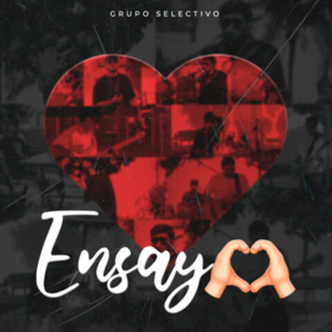 Ensayo