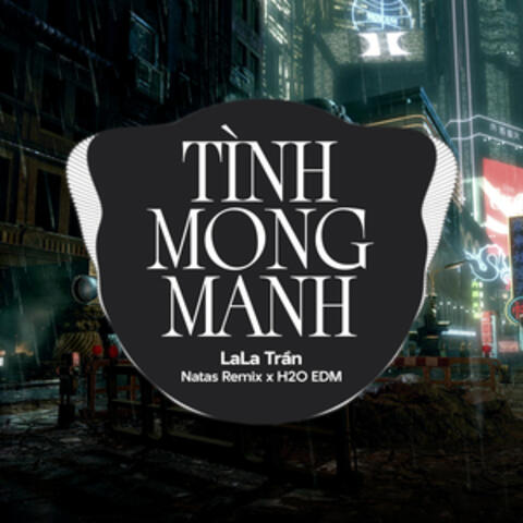 Tình Mong Manh