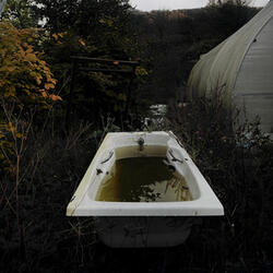 ห้องพิเศษ