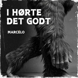 I hørte det godt
