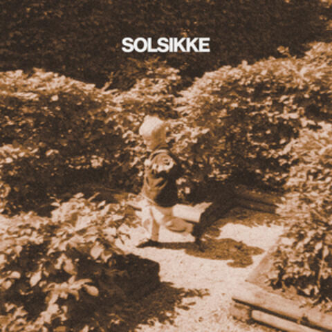 Solsikke