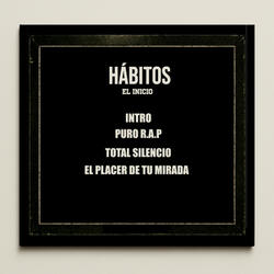 EL PLACER DE TU MIRADA