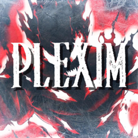 Plexim