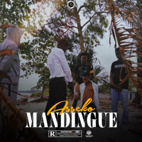 MANDINGUE (allô nilo)