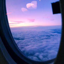 The Ashes Fly Away