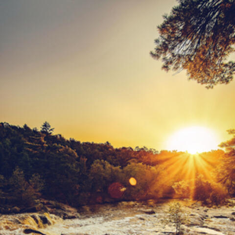 The Warm Sun Fades Away