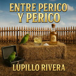 Entre Perico Y Perico
