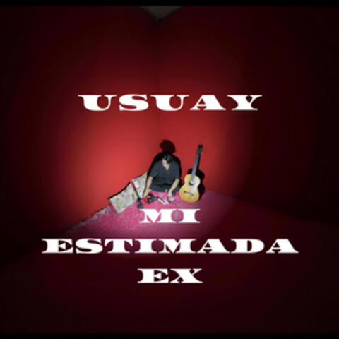Mi Estimada Ex