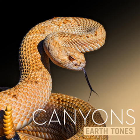 Earth Tones: Canyons