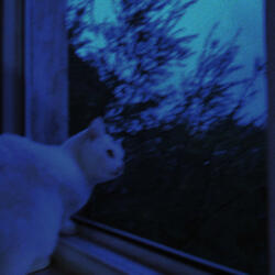 lost in time