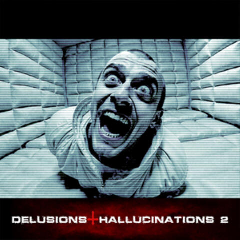 Delusions And Hallucinations 2